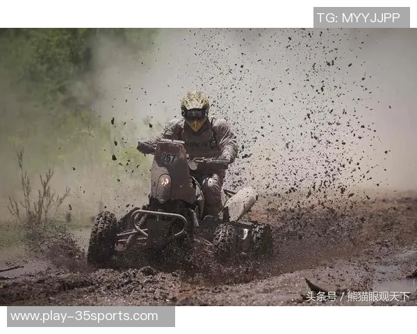 冰岛与荷兰足球对决展现激情与实力的巅峰对抗